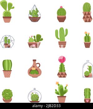Diversi tipi di cactus con le icone dei fiori impostano l'illustrazione vettoriale isolata Illustrazione Vettoriale