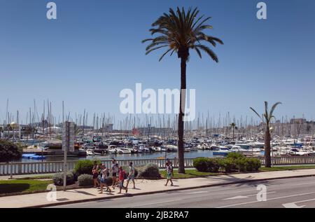Spagna, Isole Baleari, Maiorca, Palma di Maiorca, Vista sul porto turistico. Foto Stock
