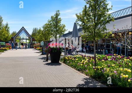 Edificio di benvenuto e caffetteria Clover al RHS Hyde Hall, Essex, in una mattinata di primavera soleggiata, con un'abbondanza di tulipani nei aiuole di fiori. Foto Stock