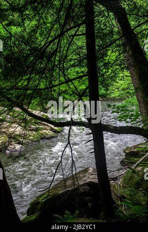 Escursioni alon Slippery Rock Creek a McConnells Mill vicino Butler, Pennsylvania. Foto Stock