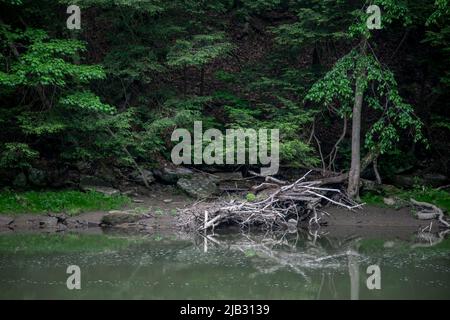 Escursioni alon Slippery Rock Creek a McConnells Mill vicino Butler, Pennsylvania. Foto Stock