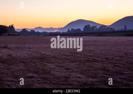 La prima luce a Dawn sopra una fattoria in Sud Africa in una mattinata di inverni con gelo ancora sull'erba Foto Stock