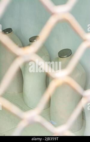 Alcuni manichini senza vestiti dietro la porta di metallo di un negozio chiuso. Concetti di crisi finanziaria, fallimento o abbandono Foto Stock