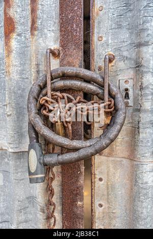 Un gruppo di serrature arrugginite - vecchio blocco motociclistico, catena arrugginita e lucchetto, su porte in acciaio arrugato rivestite con lamiere ondulate arrugate. Foto Stock