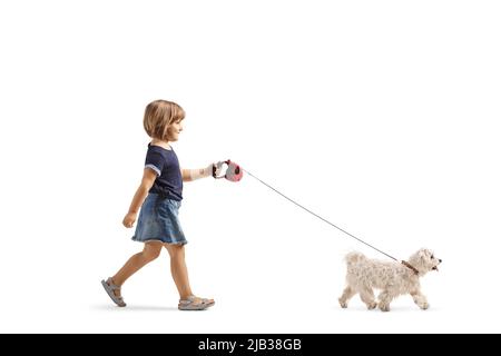 Sparo a tutta lunghezza di una bambina che cammina su un cane da cuccioli maltese bianco isolato su sfondo bianco Foto Stock