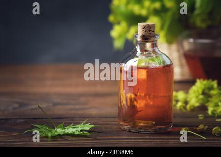 Bottiglia di sciroppo d'acero o tintura sana, infusione e foglia d'acero primaverile. Cibo sano naturale. Medicina alternativa di erbe. Foto Stock