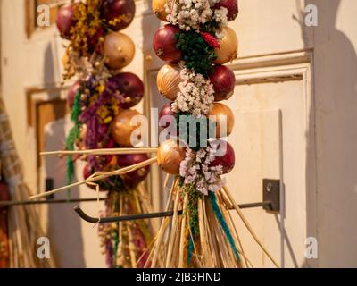 Frutti maturi di cipolle legate in grappoli appendono su un muro di legno. Foto di alta qualità Foto Stock