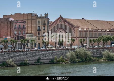 Mercato comunale nella città di Tortosa, provincia di Tarragona, comunità spagnola di Catalogna, Spagna, Europa Foto Stock