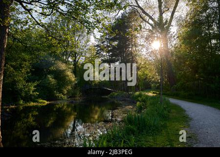 Piccolo fiume e alberi nel dominio Provinciale Rivierenhof - Anversa Belgio Foto Stock