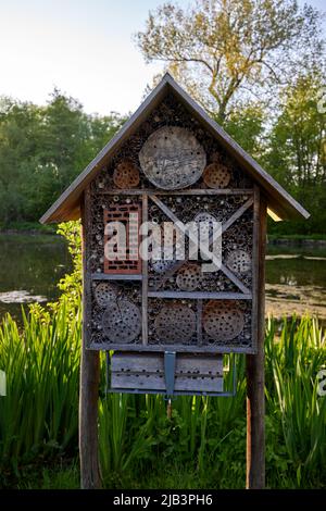 Piccola casa di legno per insetti nel dominio provinciale Parco Rivierenhof - Anversa Belgio Foto Stock