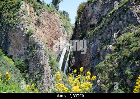 Cascata paesaggio. Ayun's cascata. Fiume Nahal Ayun. Riserva naturale e parco nazionale. Galilea superiore, Israele Foto Stock