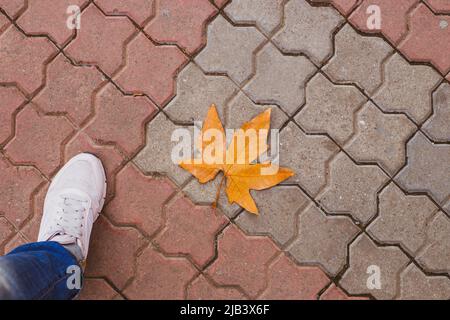 gamba in jeans e sneakers su pietre di pavimentazione con una foglia di acero caduta. Passeggiata in autunno. Foto Stock