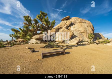 cap rock nel parco nazionale di joshua tree in california, usa Foto Stock