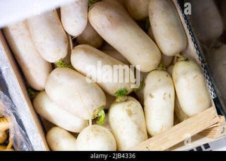 Radici di rapa esposte per la vendita alla greengrocery Foto Stock