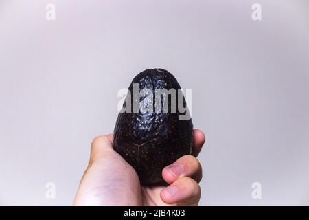 Mano dell'uomo che tiene un avocado Foto Stock