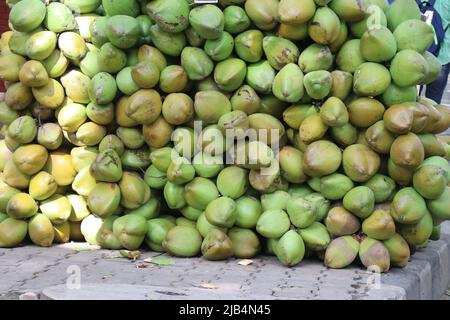 Un grande gruppo di noci di cocco succose e teneri in vendita, pile di noci di cocco fresche e giovani tenute per la vendita Foto Stock