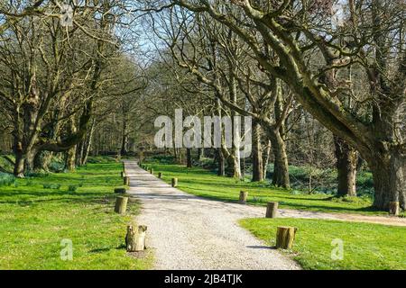 Chateau de Kergroadez, Breles, Pays des Abers, Departement Finistere Penn ar Bed, Regione Bretagne Breizh, Francia Foto Stock