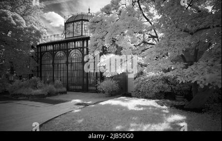 Serra nella casa di campagna moresca, immagine infrarossa, Wiilhelma, giardino zoologico-botanico, Stoccarda, Baden-Wuerttemberg, Germania Foto Stock