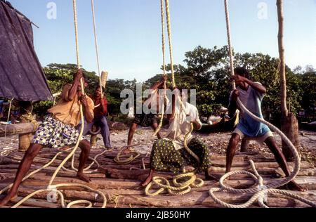 Gestione delle reti da pesca cinesi o Cheena vala a Fort Kochi o Cochin, Kerala, India, Asia Foto Stock