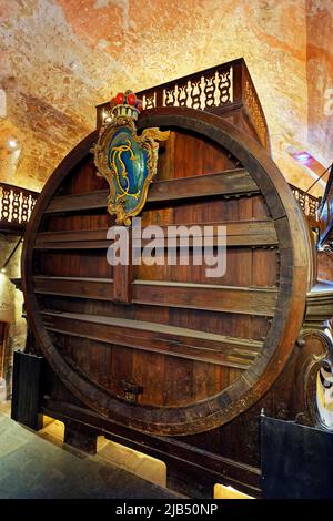 Il Grande Barrel, Karl Theodor Barrel, costruito nel 1751, botte di vino, capacità 219. 000 litri, storica cantina a botte, volta, Heidelberg Castello, primo Foto Stock