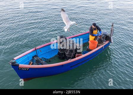 Cobh, Cork, Irlanda. 03rd giugno 2022. Ron Randells, il pescatore costiera, controlla le sue pentole per l'aragosta e i granchi di velluto prima dell'alba in Cobh, Co. Cork, Irlanda.- accreditamento; David Creedon / Alamy Live News Foto Stock