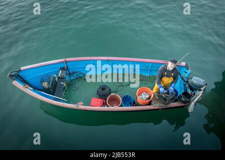 Cobh, Cork, Irlanda. 03rd giugno 2022. Ron Randells, il pescatore costiera, controlla le sue pentole per l'aragosta e i granchi di velluto prima dell'alba in Cobh, Co. Cork, Irlanda.- accreditamento; David Creedon / Alamy Live News Foto Stock