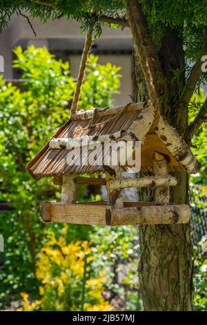 Stazione di alimentazione degli uccelli su un albero - fuoco selettivo Foto Stock