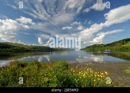 Lago Bala/Llyn Tegid nel Parco Nazionale di Snowdonia, GALLES, Regno Unito Foto Stock