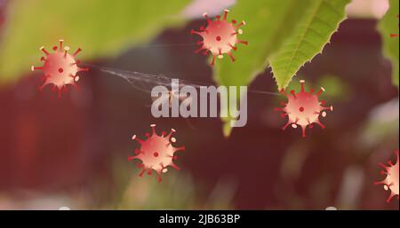 Stop simbolo su covid-19 celle icone galleggianti contro la zanzara in una ragnatela su foglie di albero Foto Stock