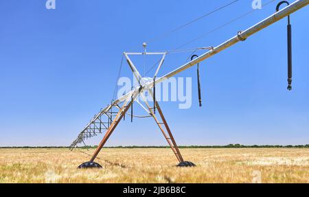 particolare di un sistema di irrigazione circolare a perno in un campo di cereali prima della falciatura Foto Stock