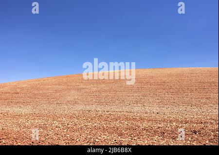 dettaglio di un terreno fertile rossastro arato di fresco contro un cielo blu Foto Stock