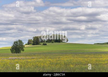 Riserva naturale dei prati di Rotenbach nella Foresta Nera alta. Friedenweiler, Baden-Wurttemberg, Germania. Foto Stock