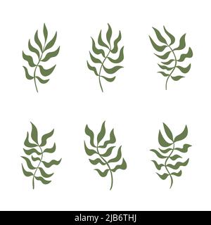 Set di piante ondulate astratte o brunch in erba collezione di foglie curve per la decorazione a parete, poster design. Forme organiche ondulate decorative. Elemento botanico Illustrazione Vettoriale