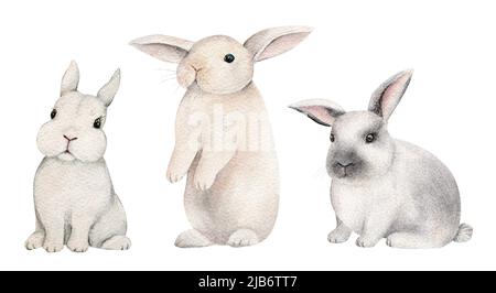 Piccoli coniglietti su uno sfondo bianco isolato, illustrazione acquerello, animale carino bosco, coniglietto pasquale, conigli Foto Stock