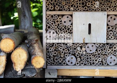 Un hotel di insetti per api, vespe e altri insetti fatti di legno vecchio. Foto Stock