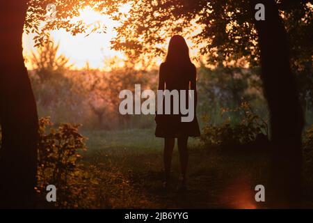 Vista posteriore della giovane donna in abito estivo che cammina da sola attraverso la foresta scura sera. Foto Stock