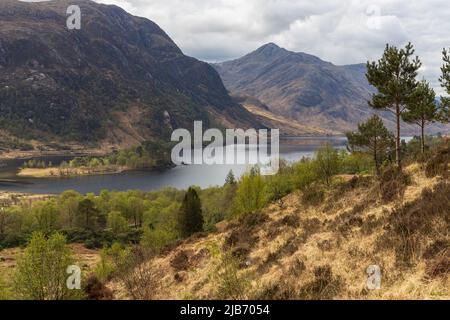 Guardando verso, Loch shiel e il monumento glenfinnan dal viadotto di Glenfinnan. Foto Stock