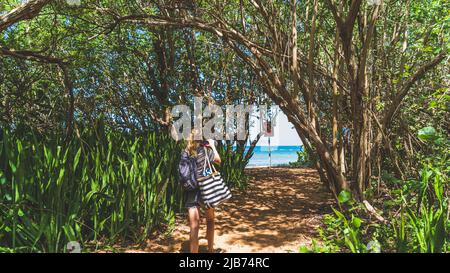 Donna escursioni sul sentiero attraverso mangrovie foresta baldacchino con macchina fotografica Foto Stock