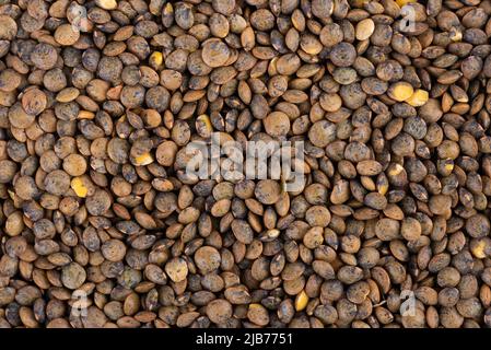Fondo lenticchie francesi. Asciutto puy lentil granisce mucchio. Vista dall'alto Foto Stock