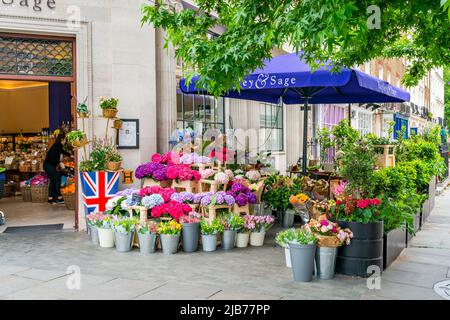 LONDRA, UK - 03 GIUGNO 2022: Il negozio Bayley and Sage è stato inaugurato a Belgravia nel febbraio 2021 e offre un'eccellente scelta di prodotti freschi di qualità Foto Stock