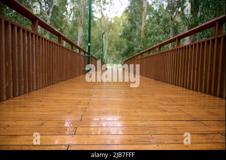 ponte di legno con ringhiere nel parco, marrone chiaro. Ponte di passaggio in legno nel parco. Prospettiva. Foto Stock