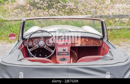 1956 Austin Healey 3000 Foto Stock