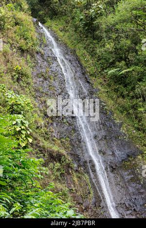 Manoa Falls, Oahu, Hawaii Foto Stock