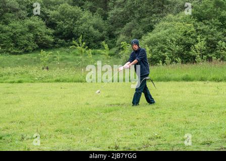 Un merlin (Falco Columbariaus) chiamato Captin 'Jack' Sparrow in volo insegue un'esca oscillata dal suo allenatore al British Bird of Prey Center Foto Stock