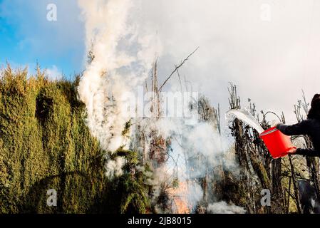 Una persona cerca di estinguere un fuoco di albero con secchi d'acqua con emergenza. Foto Stock