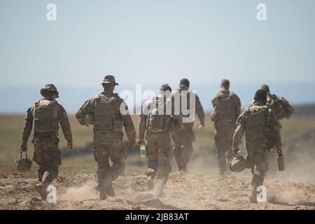 I soldati del 2-116th Combined Arms Battaglione mortaio Platoon iniziano a camminare fino al poligono di tiro. Il mortaio Platoon della Guardia Nazionale dell'Idaho, HHC, 2-116th Combined Arms Battaglione affina le loro abilità preparandosi per lo spiegamento a sostegno dell'operazione Spartan Shield. Foto Stock