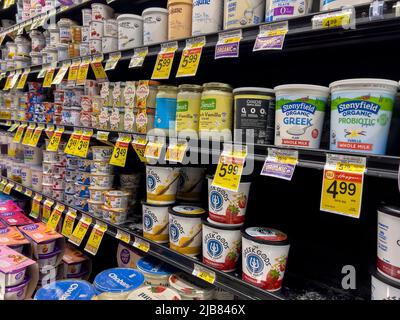 Woodinville, WA USA - circa Maggio 2022: Vista di una varietà di yogurt in vendita all'interno di un negozio di alimentari fresco Haggen Northwest. Foto Stock