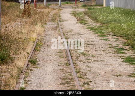 Immagine di una pista abbandonata con le sue ferrovie arrugginite in prospettiva, ricoperte di erba e fango. Foto Stock