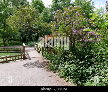 Londra, Grande Londra, Inghilterra, maggio 28 2022: Percorso e ponte in Holland Park nella zona di Kensington. Foto Stock