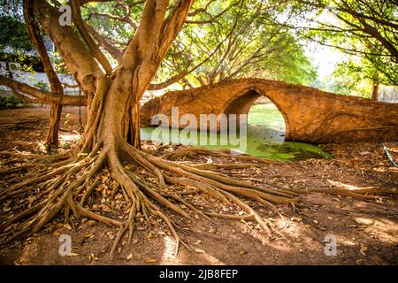 Ponte PA Diso tra Wat Boromphuttharam e Wat Singharam ad Ayutthaya, Thailandia Foto Stock